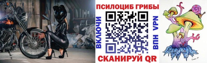 Галлюциногенные грибы Cubensis  Билибино 